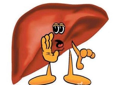 影响肝脏